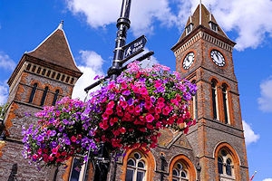 NewburyHangingBaskets_Mar25.jpg