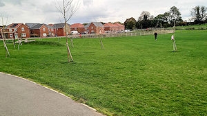 SwaffhamGreen_Mar26.jpg