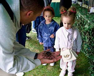 hertfordbugfest__jul26.jpg